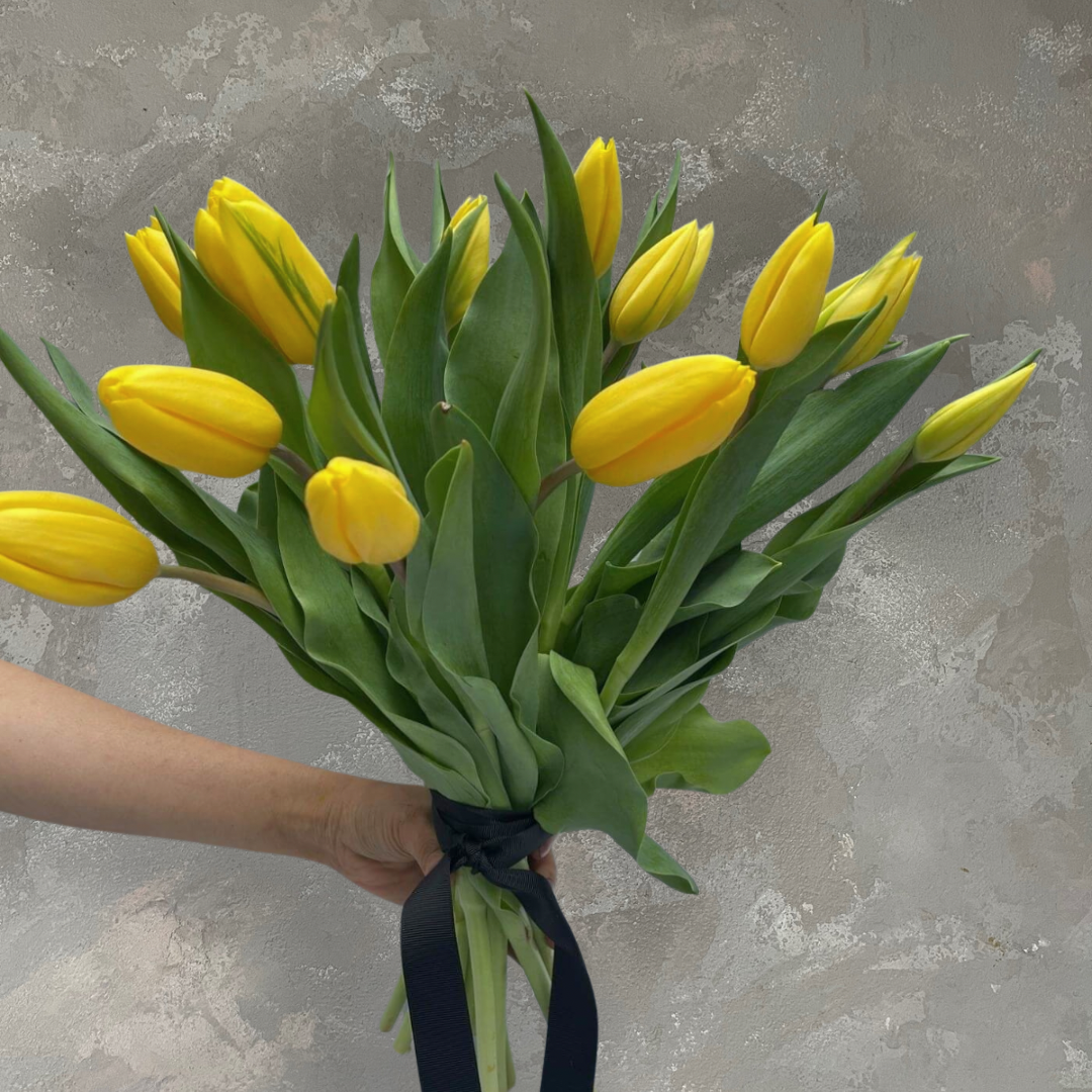 A hand displays the "Tulip Time" bouquet from Flowers on Norton St, featuring vibrant tulips with lush green leaves, elegantly tied with a sleek black ribbon. The background is a textured gray wall.
