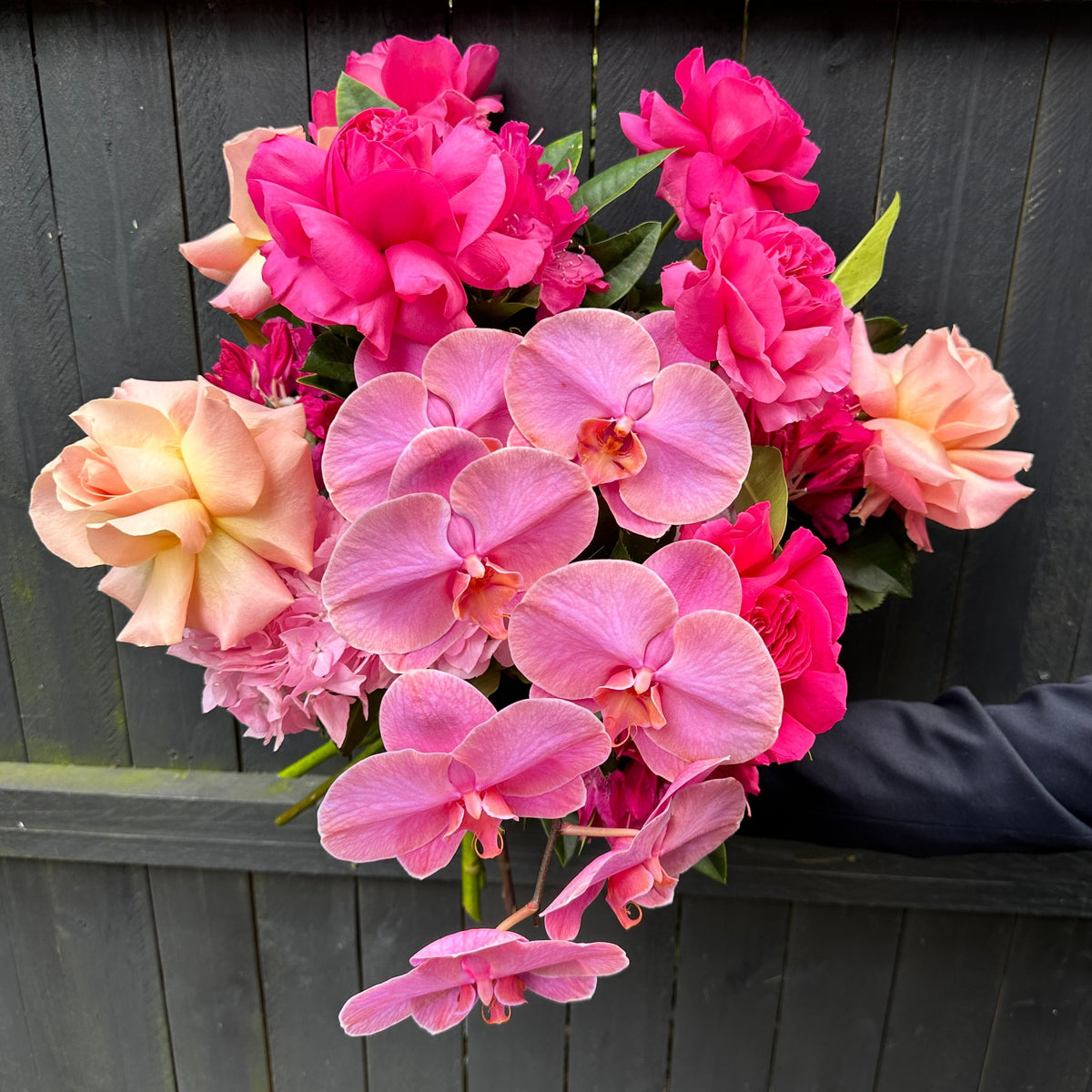 The Rose Phal Ruffle Bouquet from Flowers on Norton St showcases a stunning mix of Phalaenopsis orchids paired with pink and peach roses, beautifully set against a dark wooden backdrop and finished with a delicate ruffle wrap.
