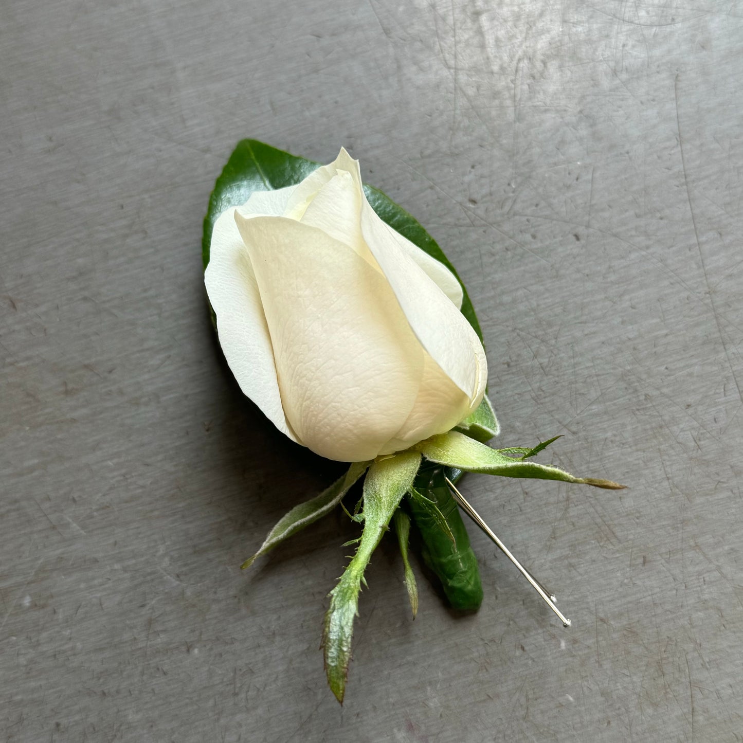 The Classic Buttonhole Flower by Flowers on Norton St features a white rose boutonniere with green leaves and a pin, elegantly resting on a gray, textured surface—perfect for enhancing any formal attire.