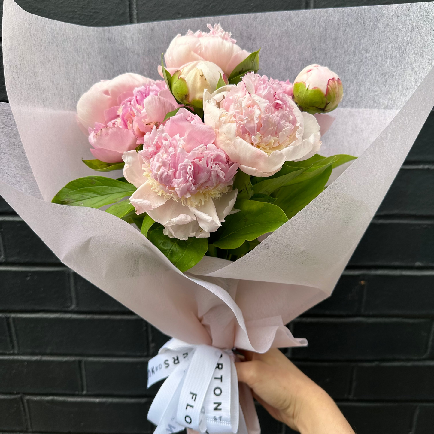 Sarah Bernhardt Peonies
