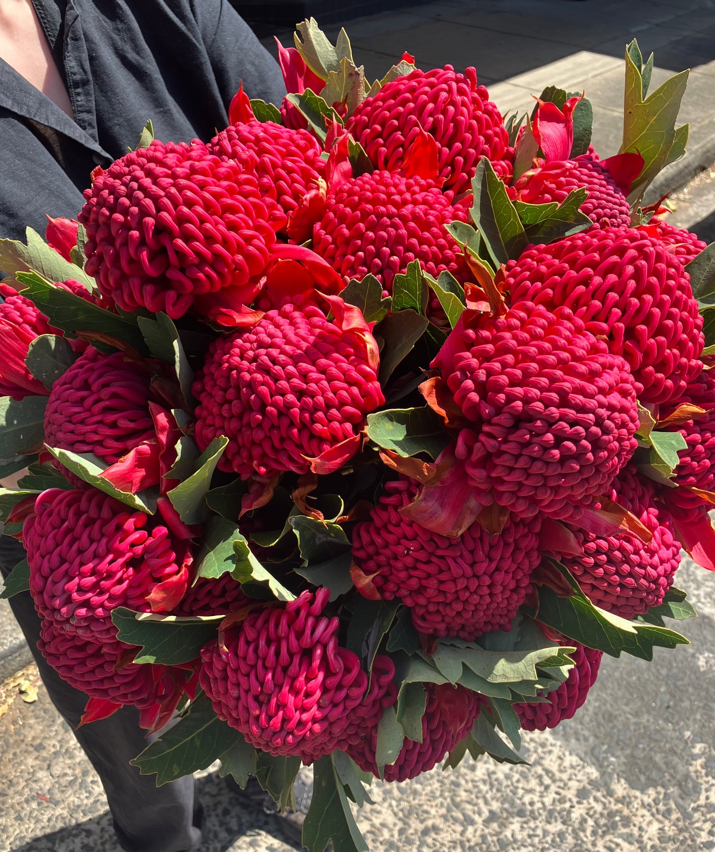 Waratahs