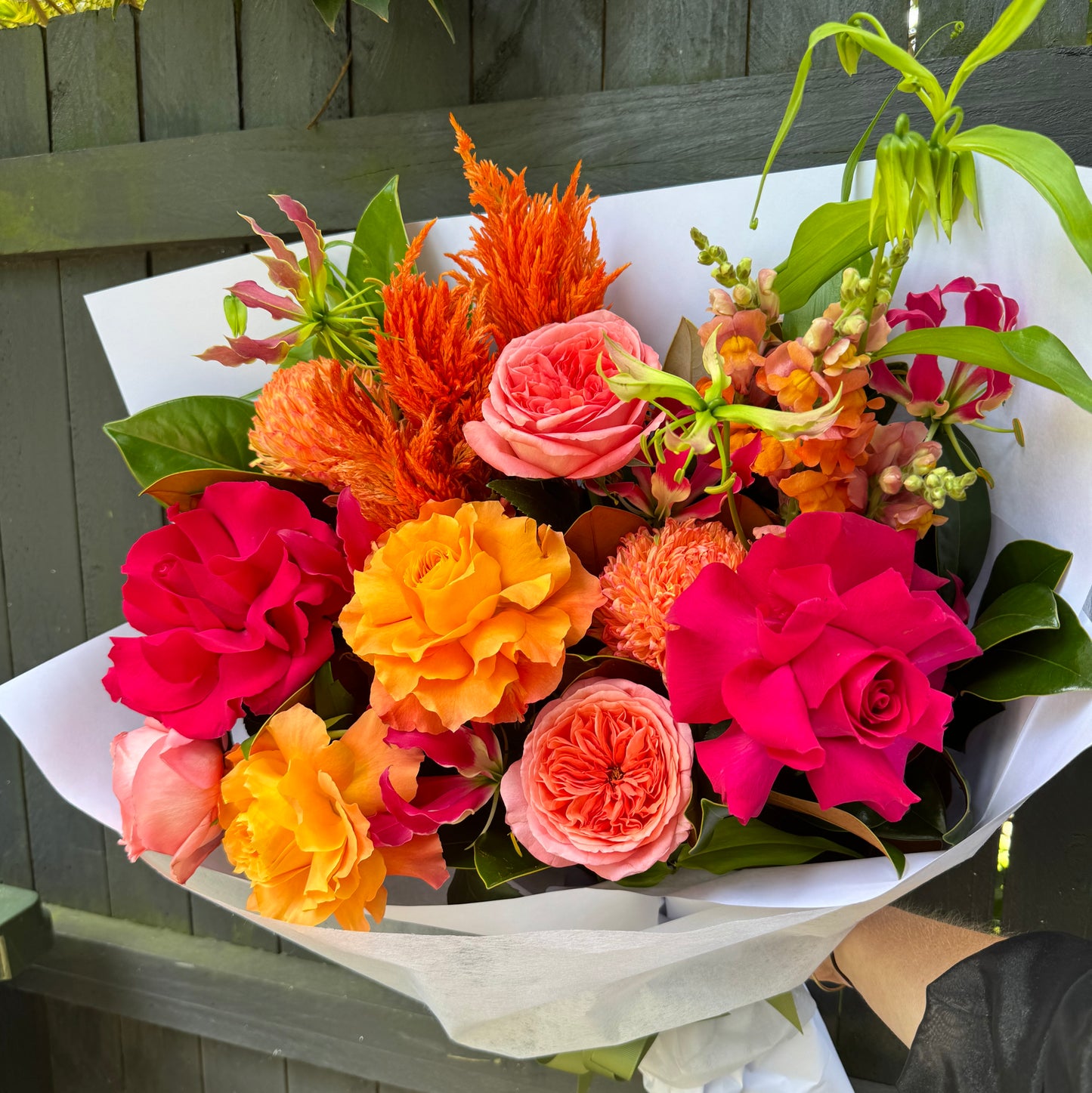 Presenting "Tangerine Dream" by Flowers on Norton St, a vibrant floral arrangement showcasing pink and peach roses, striking orange marigolds, and exquisite tangerine dream dahlias. Accented by lush green leaves and elegantly wrapped in white paper, this bouquet stands out beautifully against a dark wooden fence.