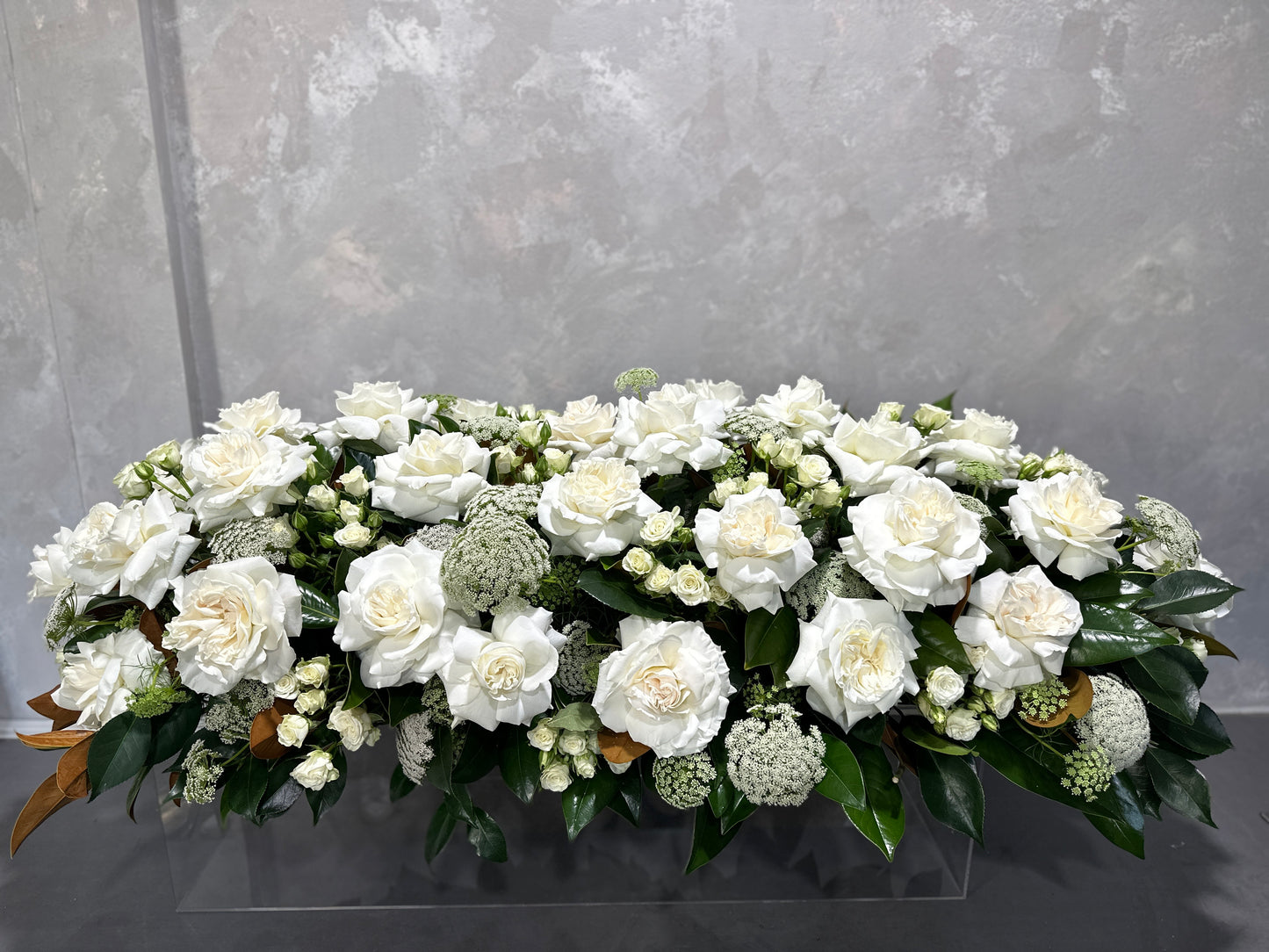 A stunning arrangement from Flowers on Norton St, the Seasonal Floral Casket Cover displays a serene blend of white roses and other white flowers complemented by dark green leaves, elegantly set against a textured gray background to enhance any funeral service.