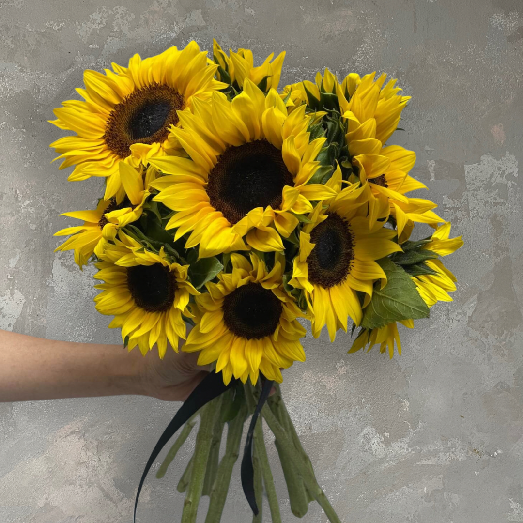A hand holding a bouquet of "Sunny Sunflowers" from Flowers on Norton St shines against a textured gray wall, enhancing the radiant colors of the flowers' dark centers.