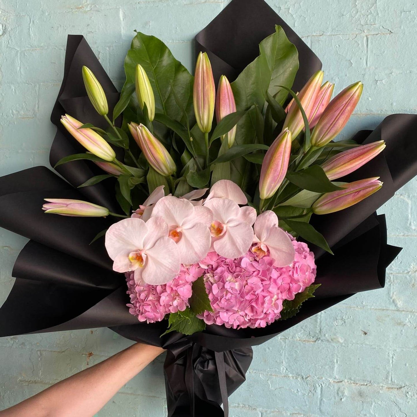 The Hydranega + Lily Bouquet from Flowers on Norton St, featuring closed pink lilies and phalaenopsis orchids, is elegantly wrapped in ruffle wrap and stands against a light blue brick wall.