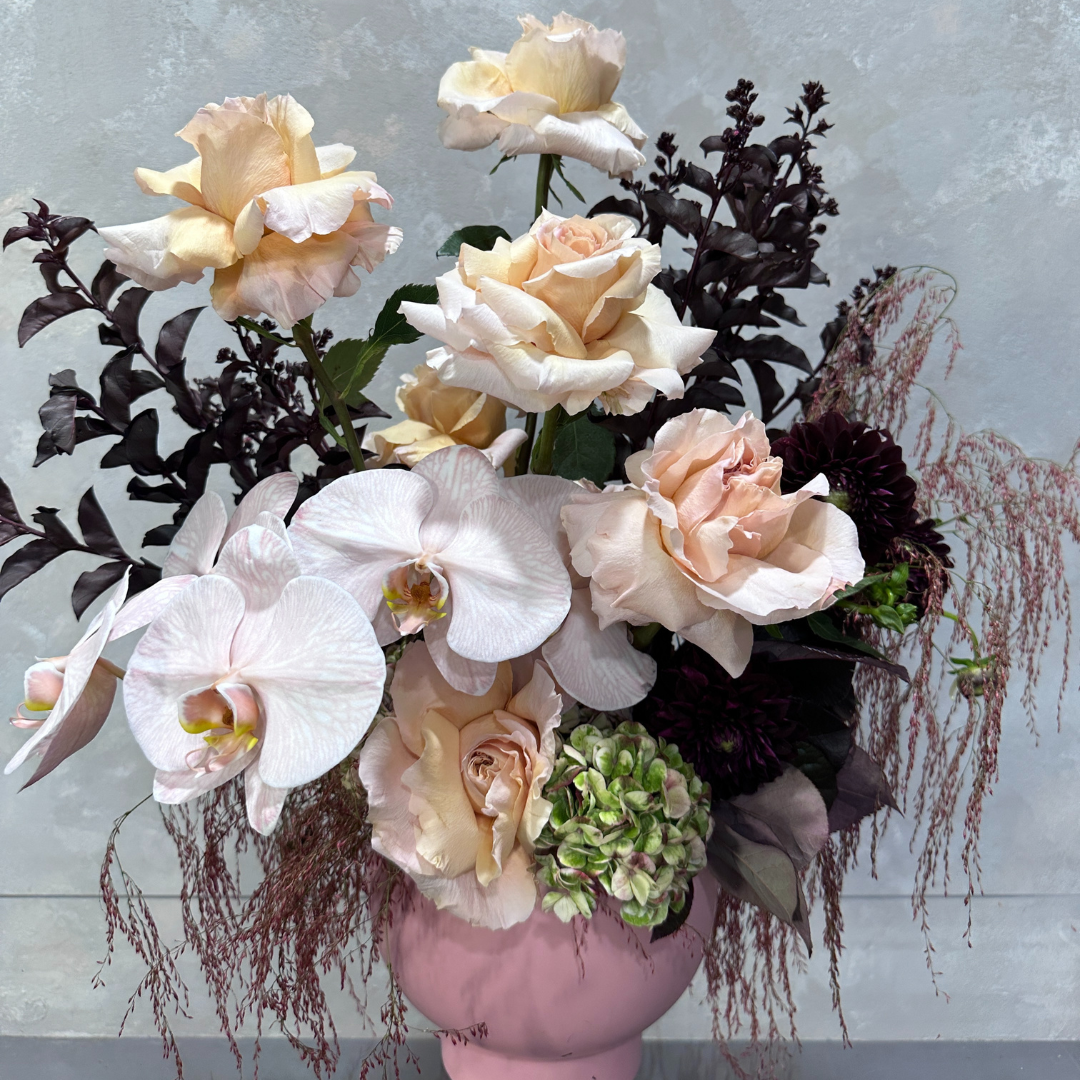 The "Lush in Blush" floral arrangement by Flowers on Norton St showcases peach and champagne roses, white orchids, and dark purple foliage beautifully arranged in a pink vase against a soft gray backdrop. This combination of textures and pastel colors results in a delicate and elegant display.
