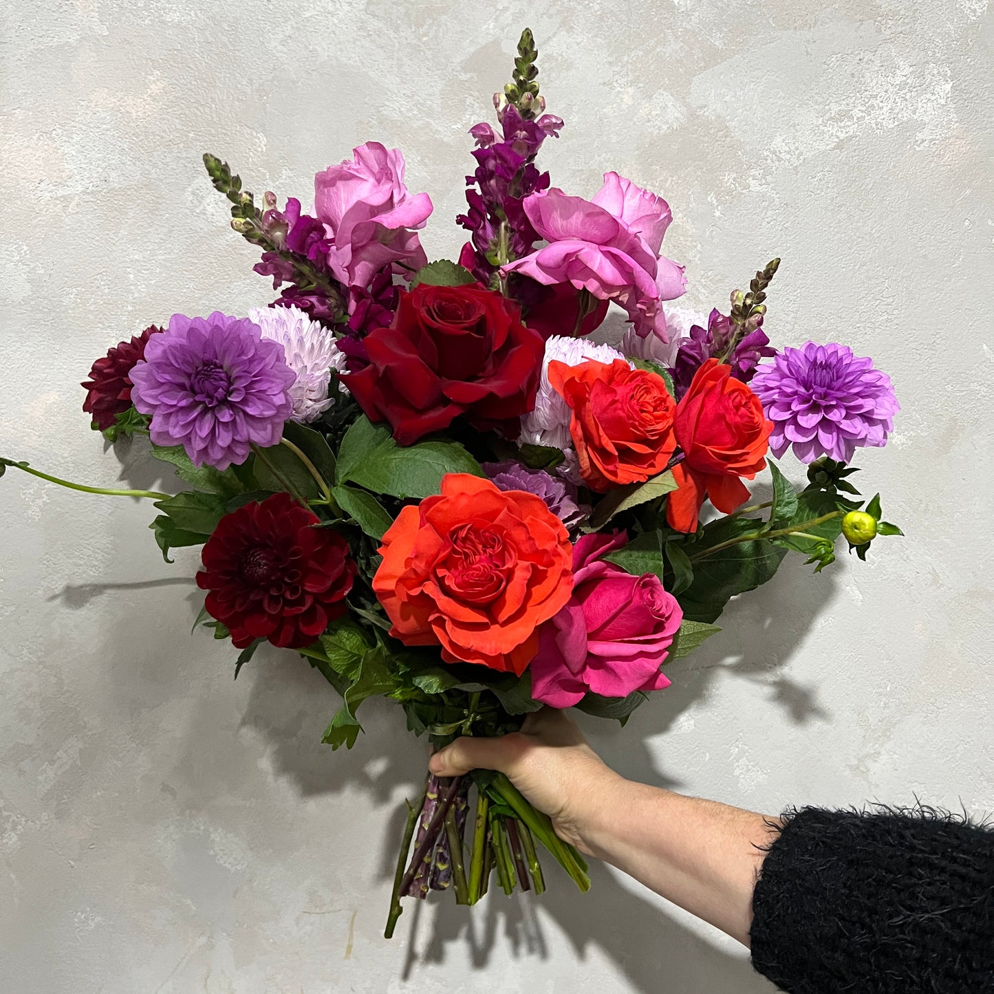 A hand holding the Be Bold Seasonal Bouquet by FlowersonNortonSt against a textured wall. This vibrant arrangement includes red, orange, and pink roses, purple dahlias, phalaenopsis orchids, along with other seasonal flowers for a lush and vivid display.