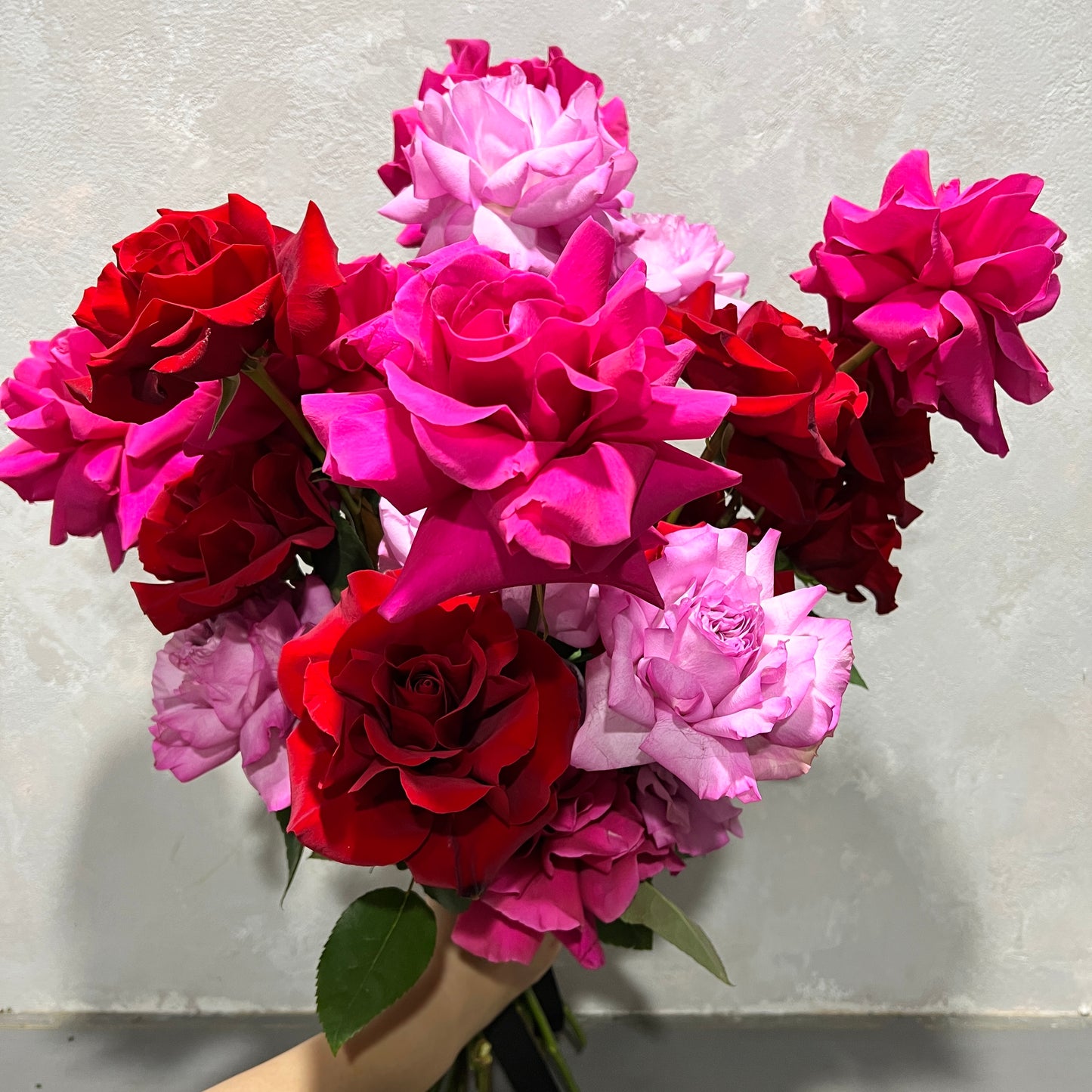 A hand holding the Statement Roses Bouquet 2024 by Flowers on Norton St, featuring vibrant, hand-crafted Colombian roses in shades of red, pink, and lavender against a light, textured background.