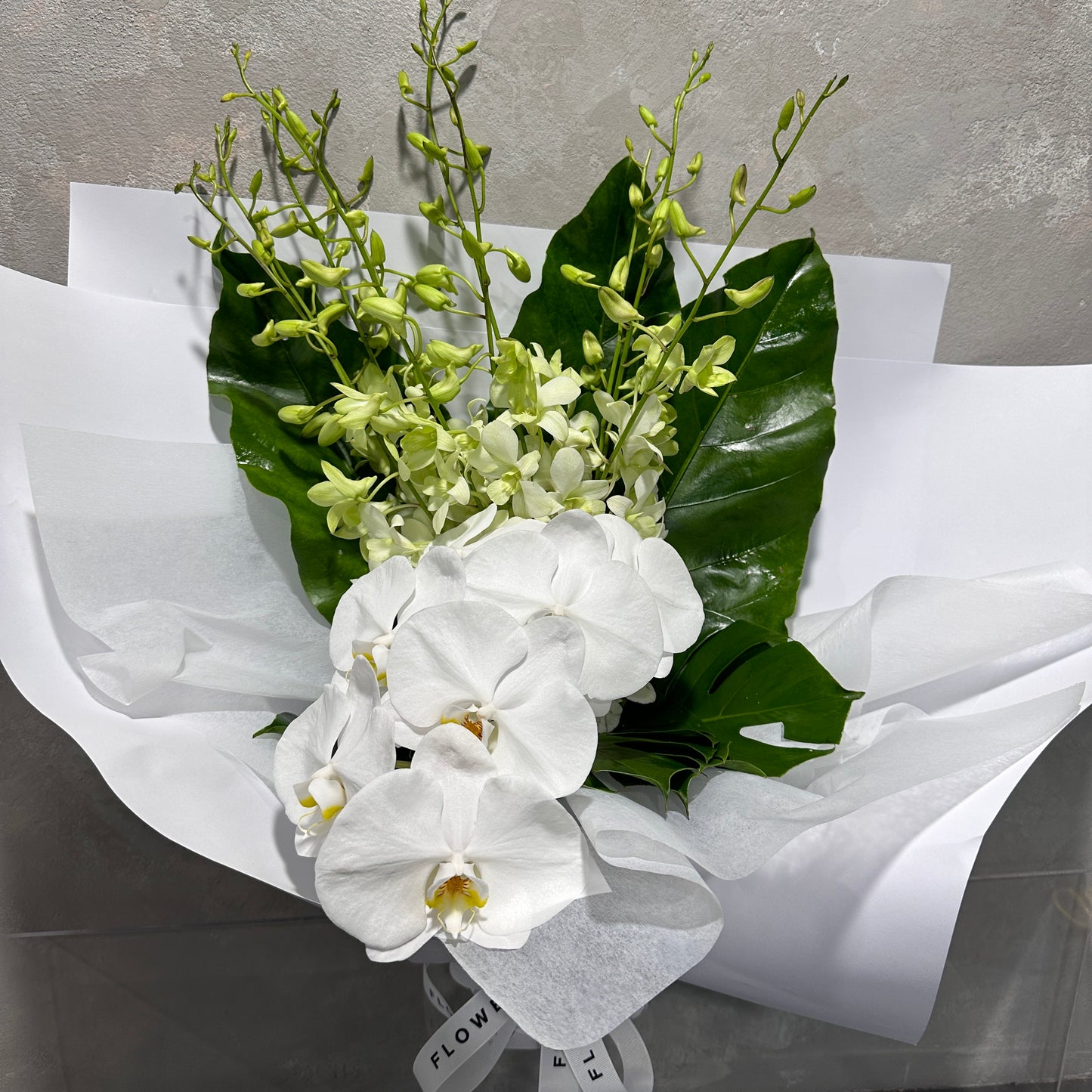 Introducing the Orchid Treasure Bouquet by Flowers on Norton St, a sophisticated arrangement of white orchids and green buds, highlighted with tropical foliage featuring large green leaves, elegantly wrapped in white paper against a textured gray background.