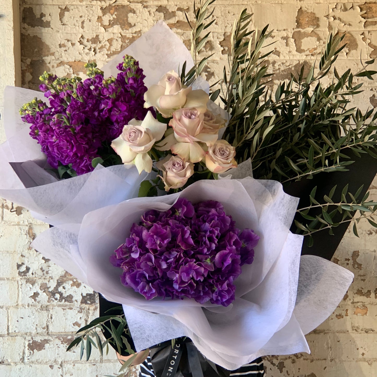 The Colour Me - Purple Seasonal Bouquet from Flowers on Norton St features purple stock flowers, white roses with pink hues, and violet hydrangeas wrapped in white tissue paper. Green foliage contrasts beautifully with the textured brick wall backdrop, ideal for any occasion.