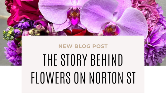 The Story Behind Flowers on Norton St