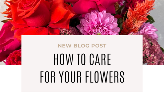 How to Care for Your Flowers