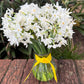 Jolly Jonquil July Member's Special