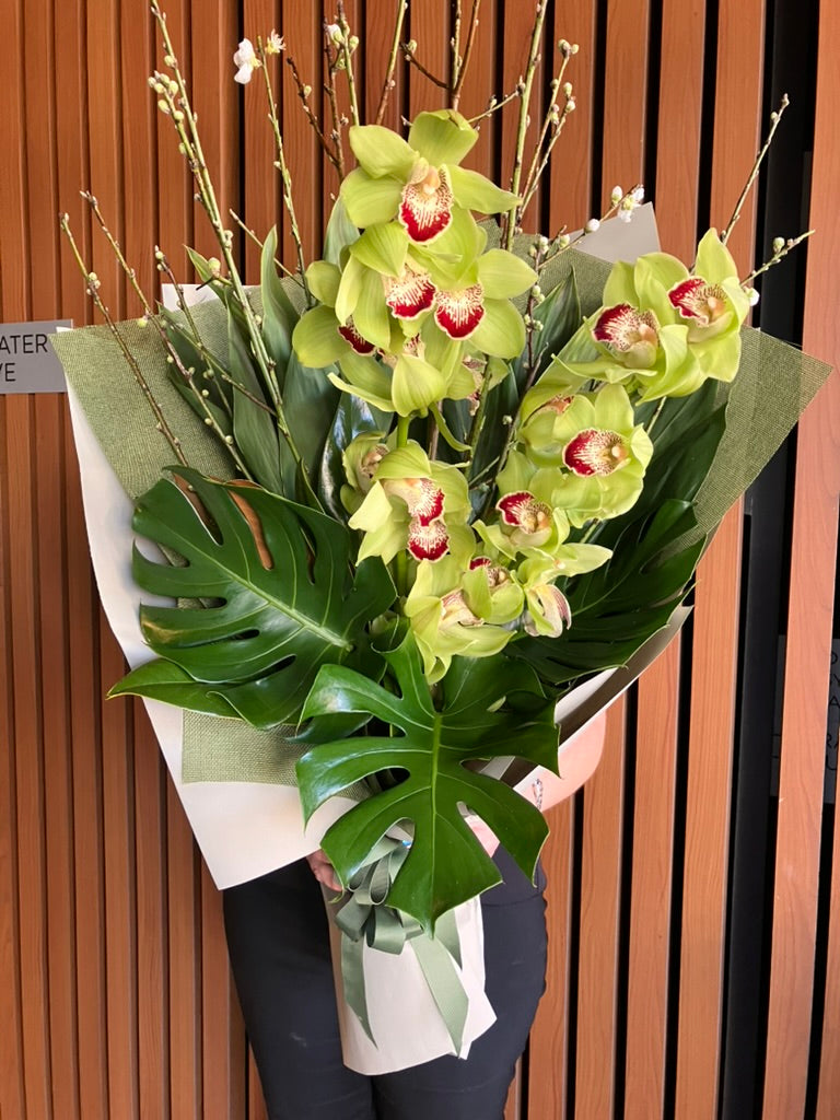 Cymbidium Orchid + Blossom August Special