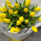Tulip Time
