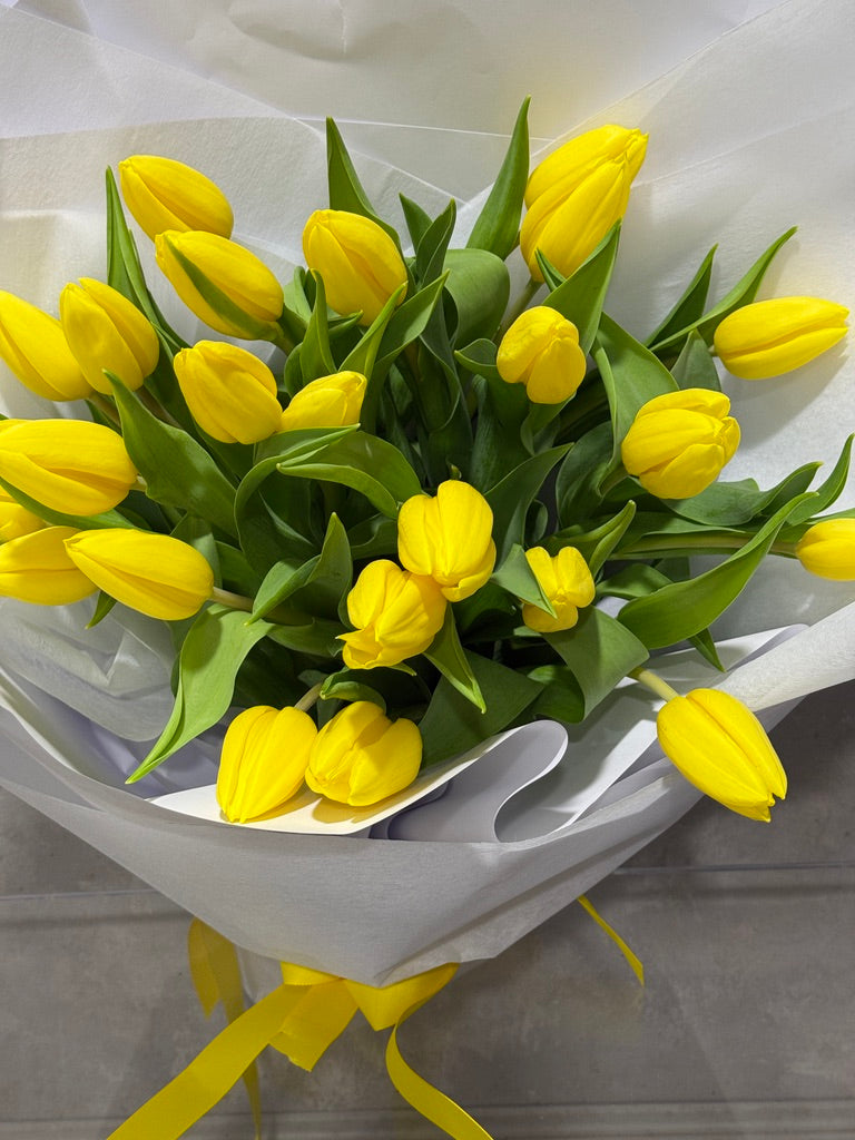 Tulip Time