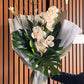 Cymbidium Orchid + Blossom August Special