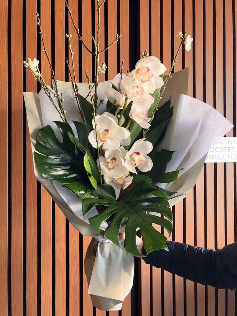Cymbidium Orchid + Blossom August Special