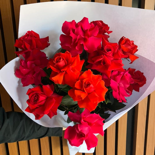 June Member's Special- Red and Hot Pink Roses