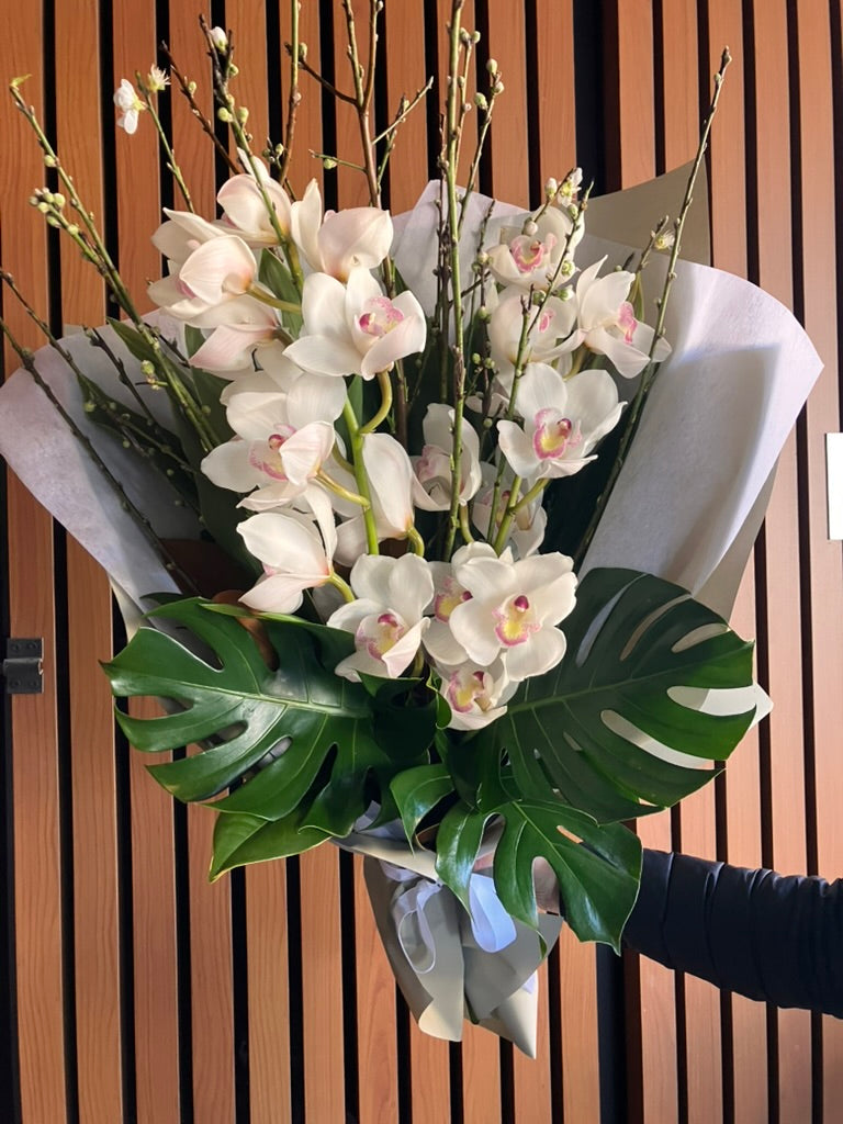 Cymbidium Orchid + Blossom August Special