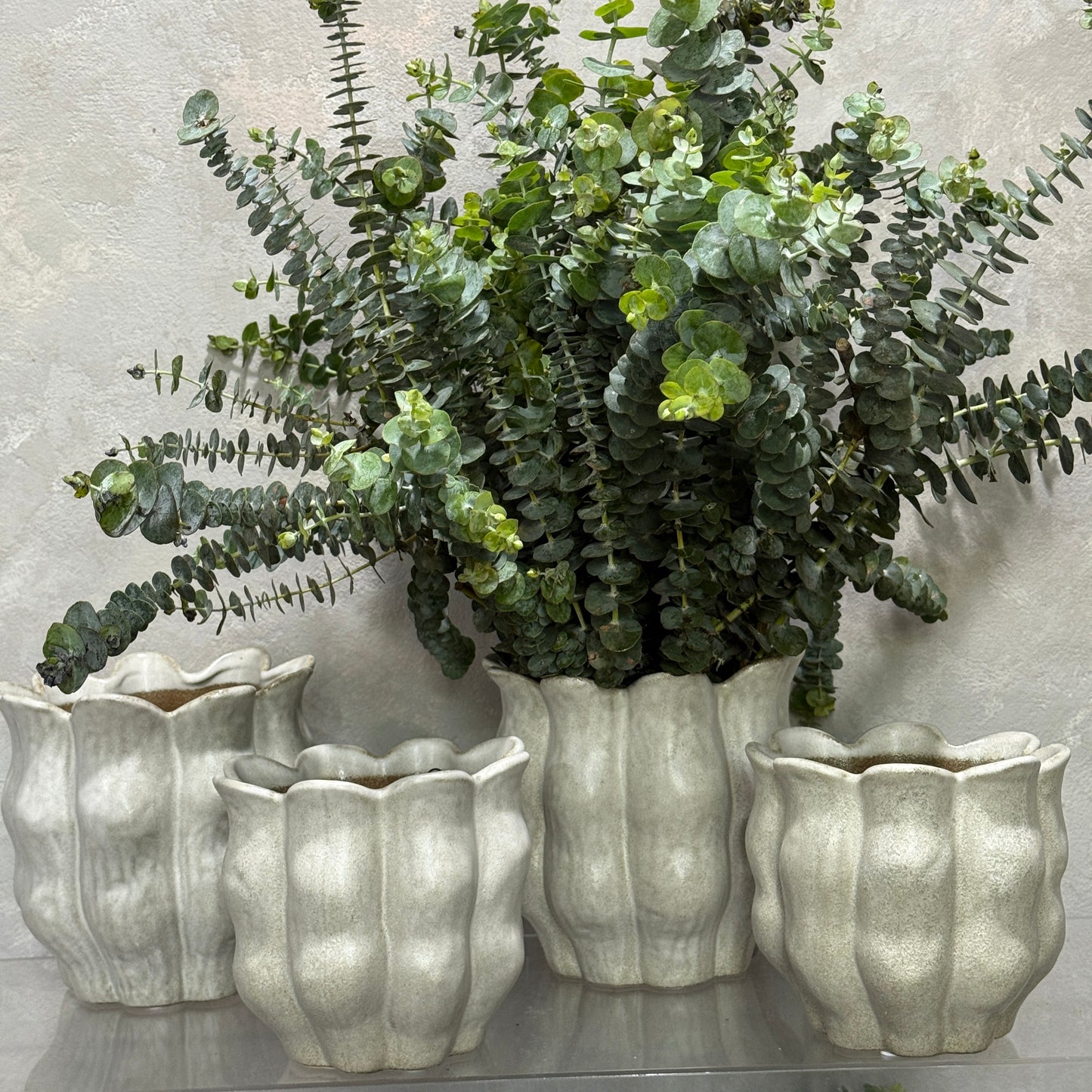 Oliva Pot Gourd in Stone