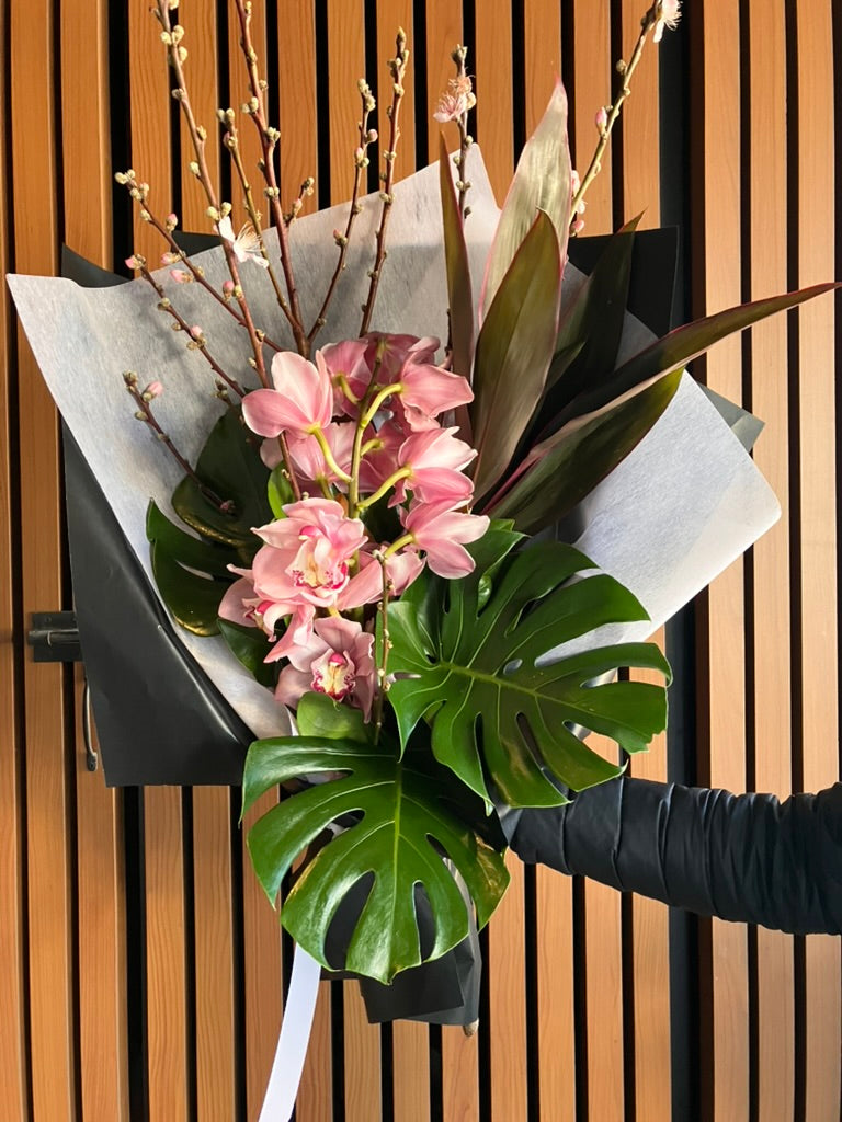 Cymbidium Orchid + Blossom August Special