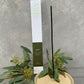 Exuro Incense Sticks and Holders