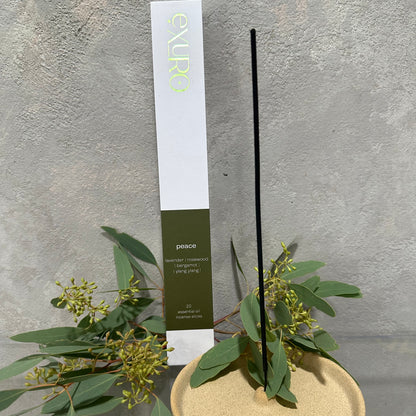 Exuro Incense Sticks and Holders