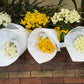 Jolly Jonquil July Member's Special