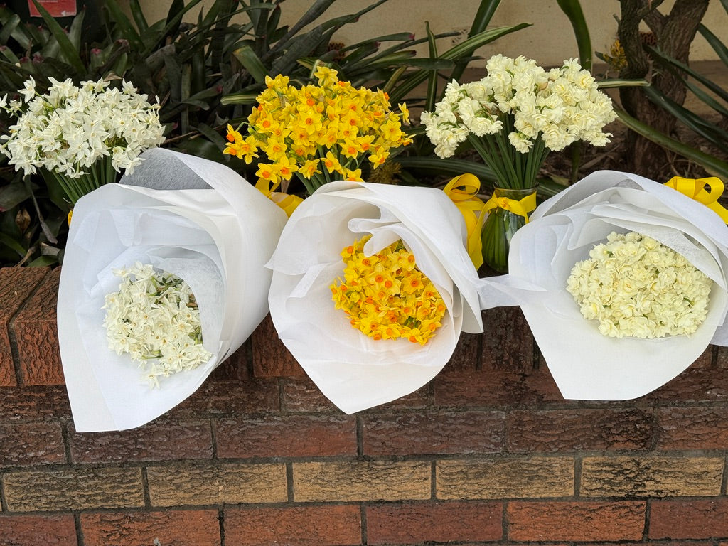 Jolly Jonquil July Member's Special