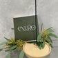 Exuro Incense Sticks and Holders