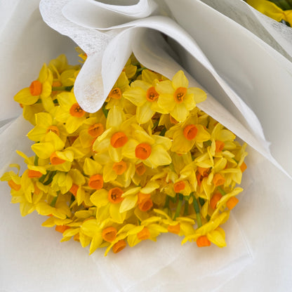 Jolly Jonquil July Member's Special