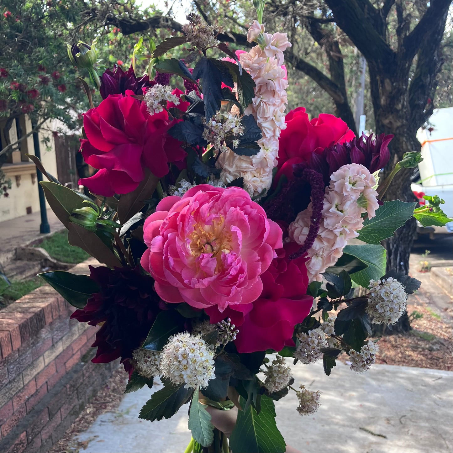 Anna's November Bouquet 2026