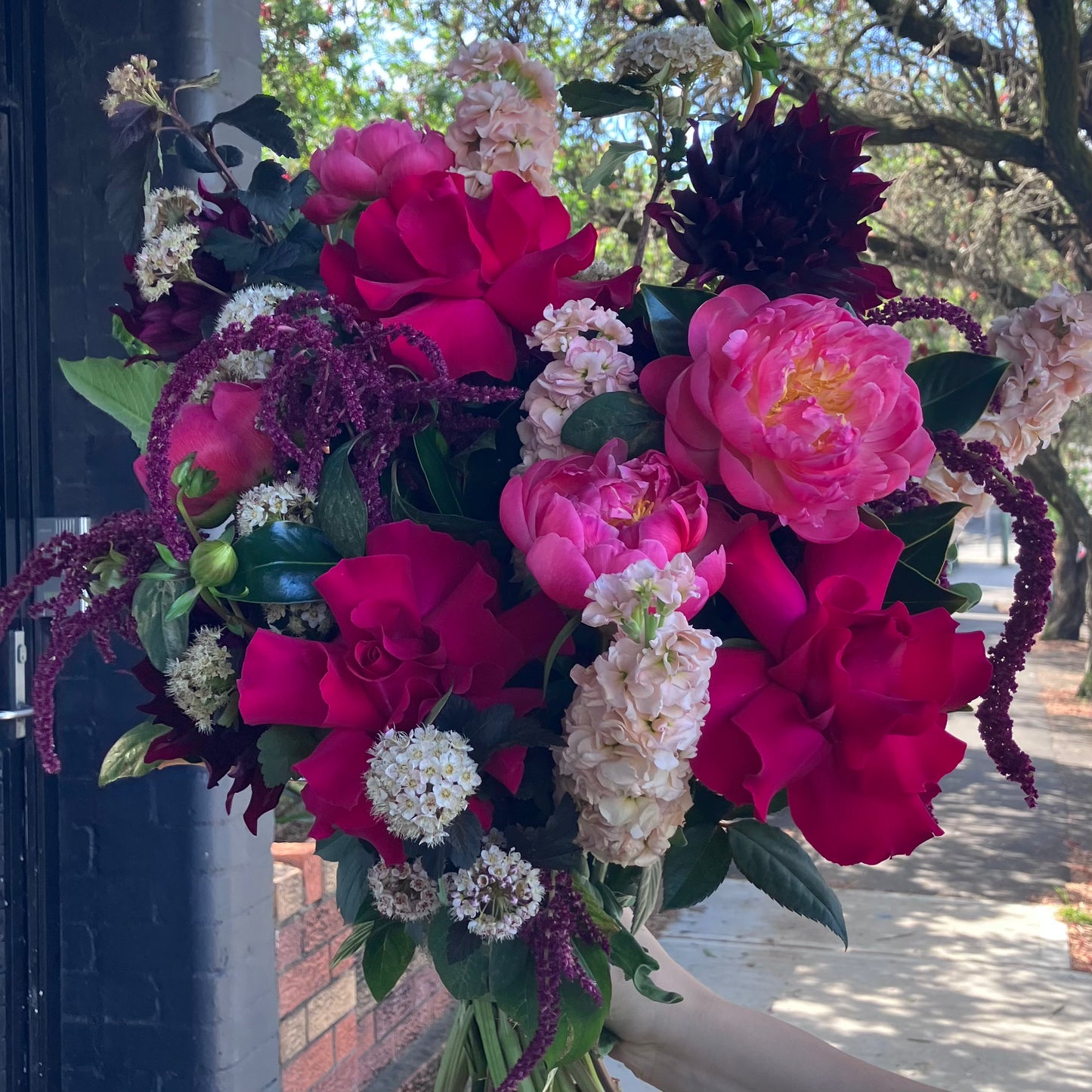 Anna's November Bouquet 2026