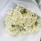 Jolly Jonquil July Member's Special