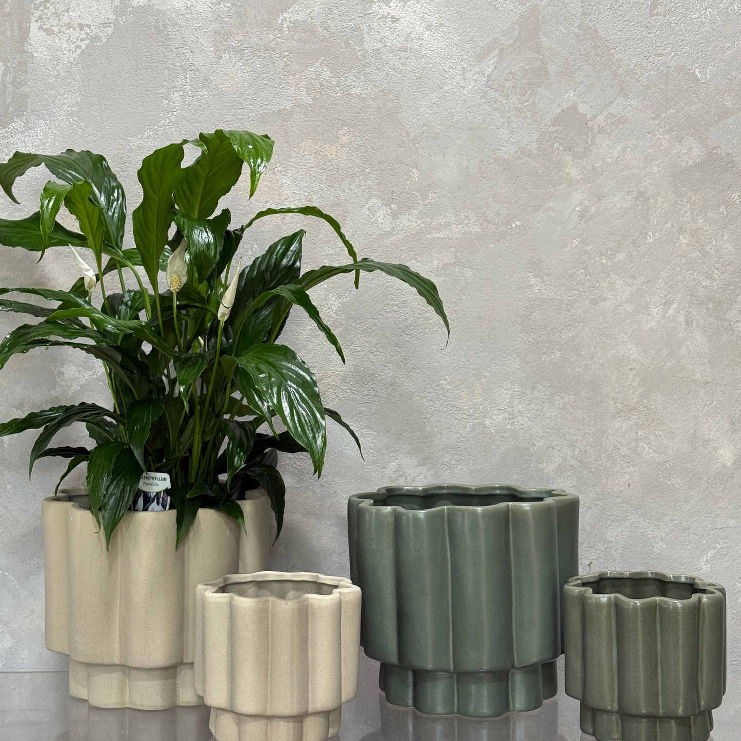 Gustel Pot
