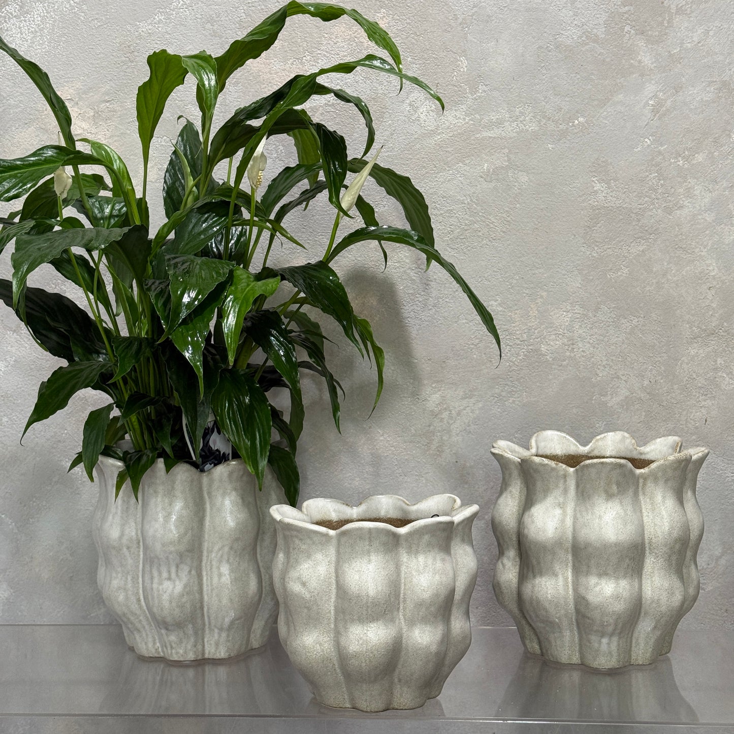 Oliva Pot Gourd in Stone