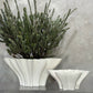 Blossom Vase White