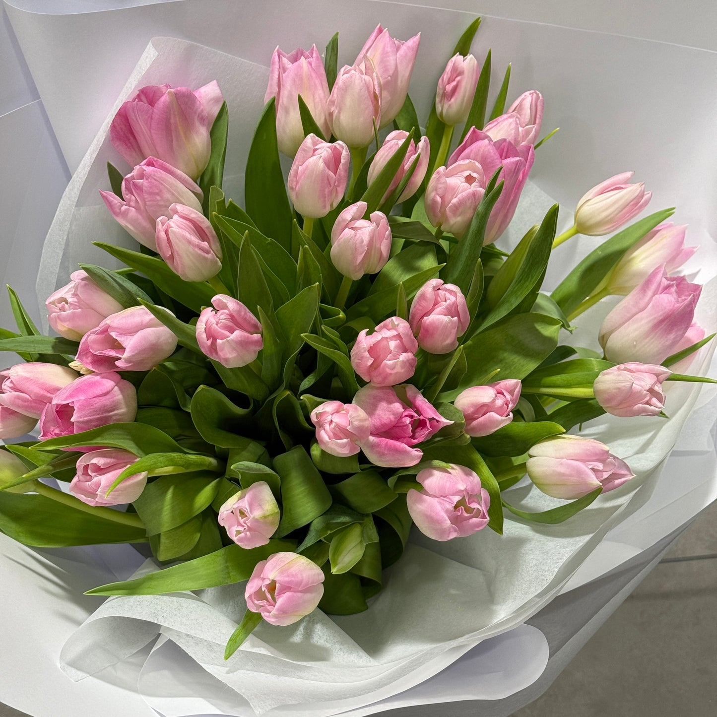 Tulip Time