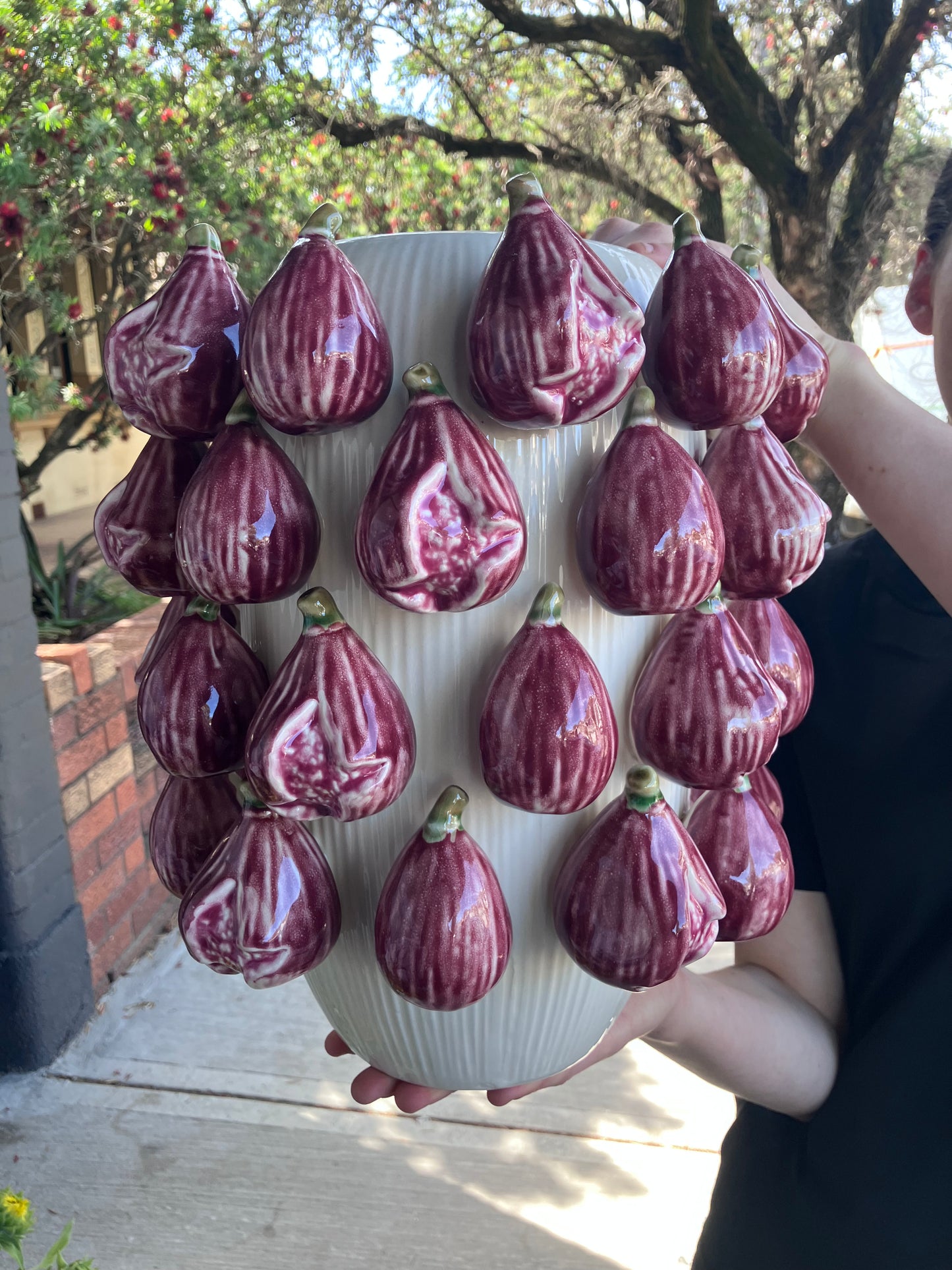 Pink Fig Vase