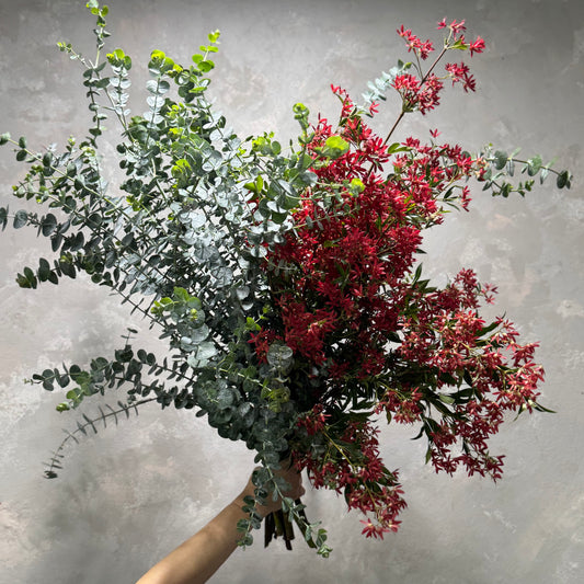 In a hand, the "Aussie Bush Christmas" bouquet by Flowers on Norton St showcases lush green eucalyptus leaves, vibrant red blooms, and delicate Australian Christmas Bush, bringing a touch of Aussie cheer against a textured gray backdrop.