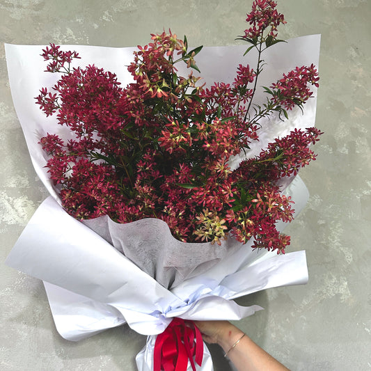 A hand holds a delightful Big Bunch of Christmas Native Bush from Flowers on Norton St, showcasing red-tinted leafy branches and Australian native flowers, elegantly wrapped in white paper with a red ribbon against a light gray textured wall, offering the ideal festive decor.