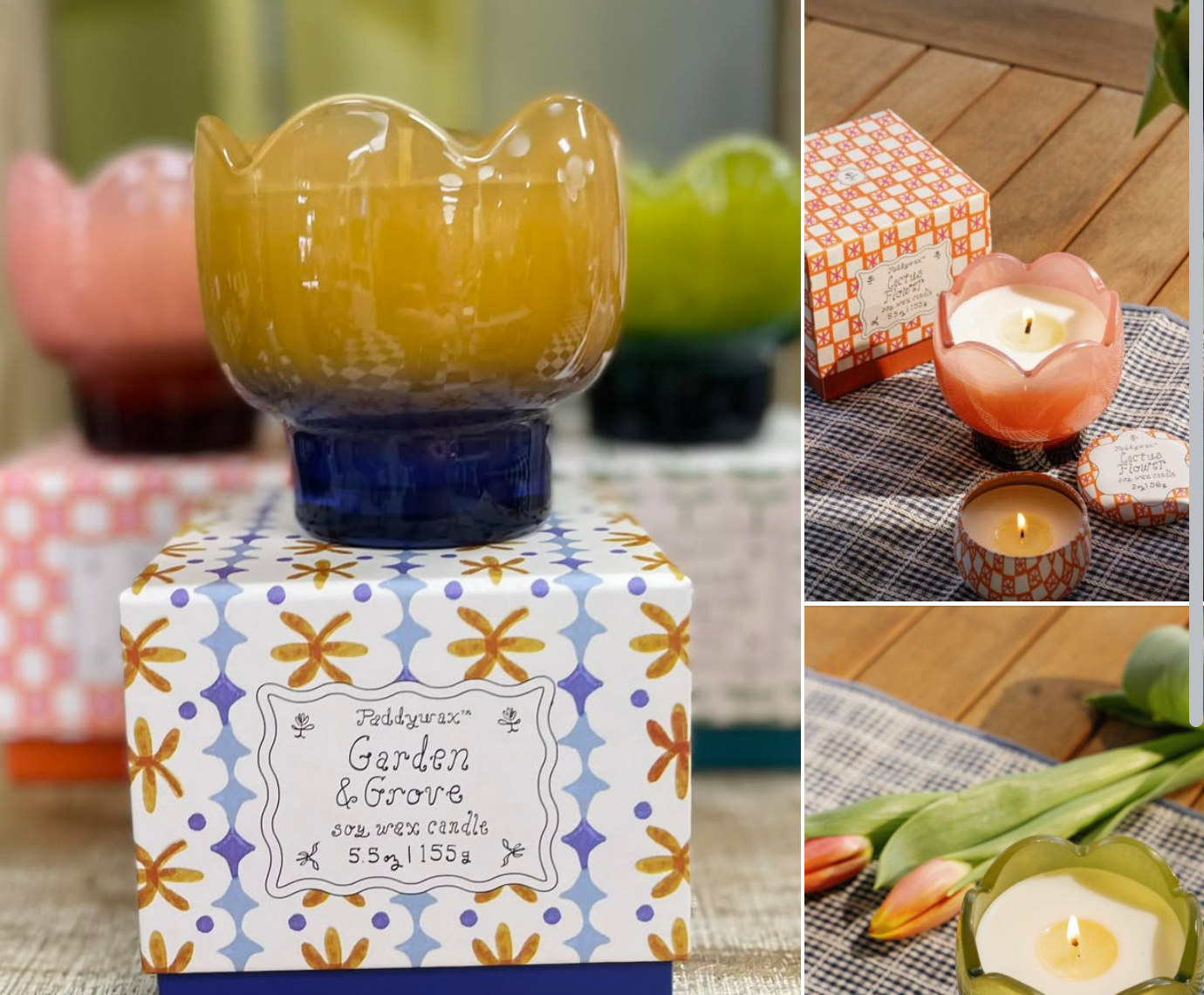 Paddywax Candles- 150g Soy Wax Candle