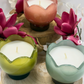 Paddywax Candles- 150g Soy Wax Candle