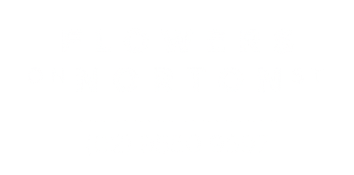 Flowers on Norton St
