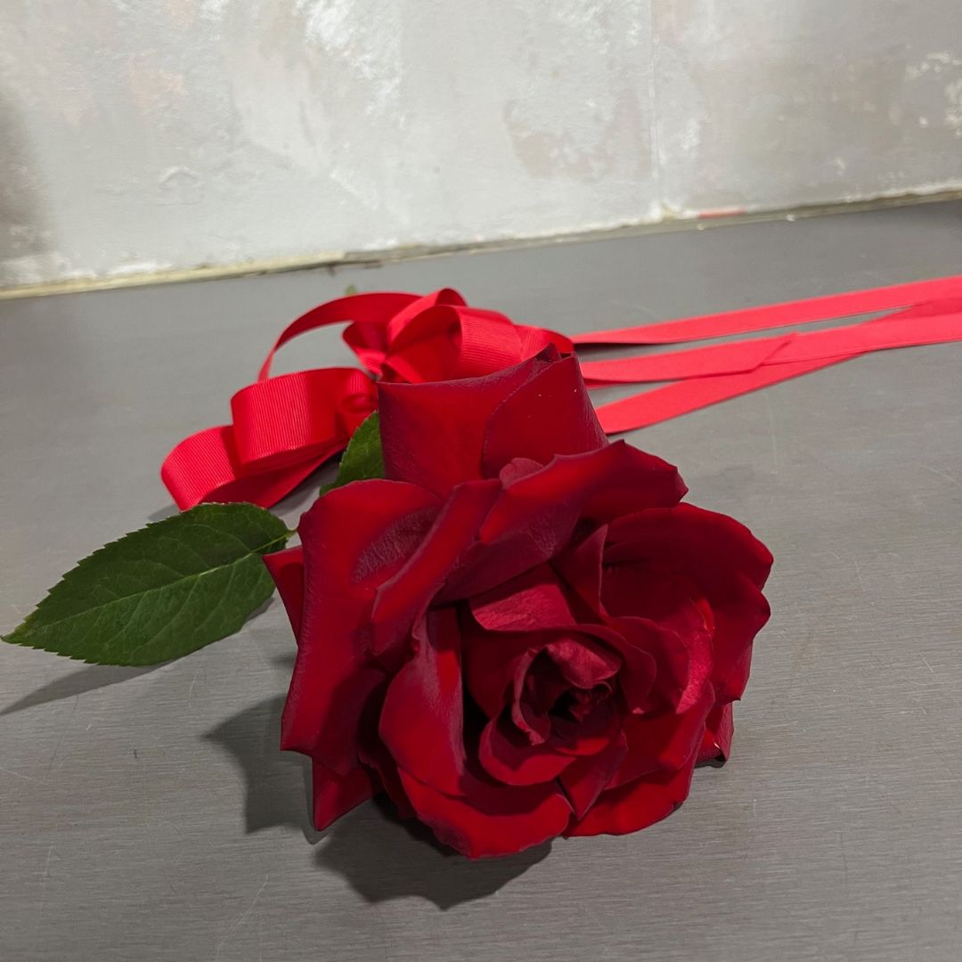 Single Rose – Flowers on Norton St