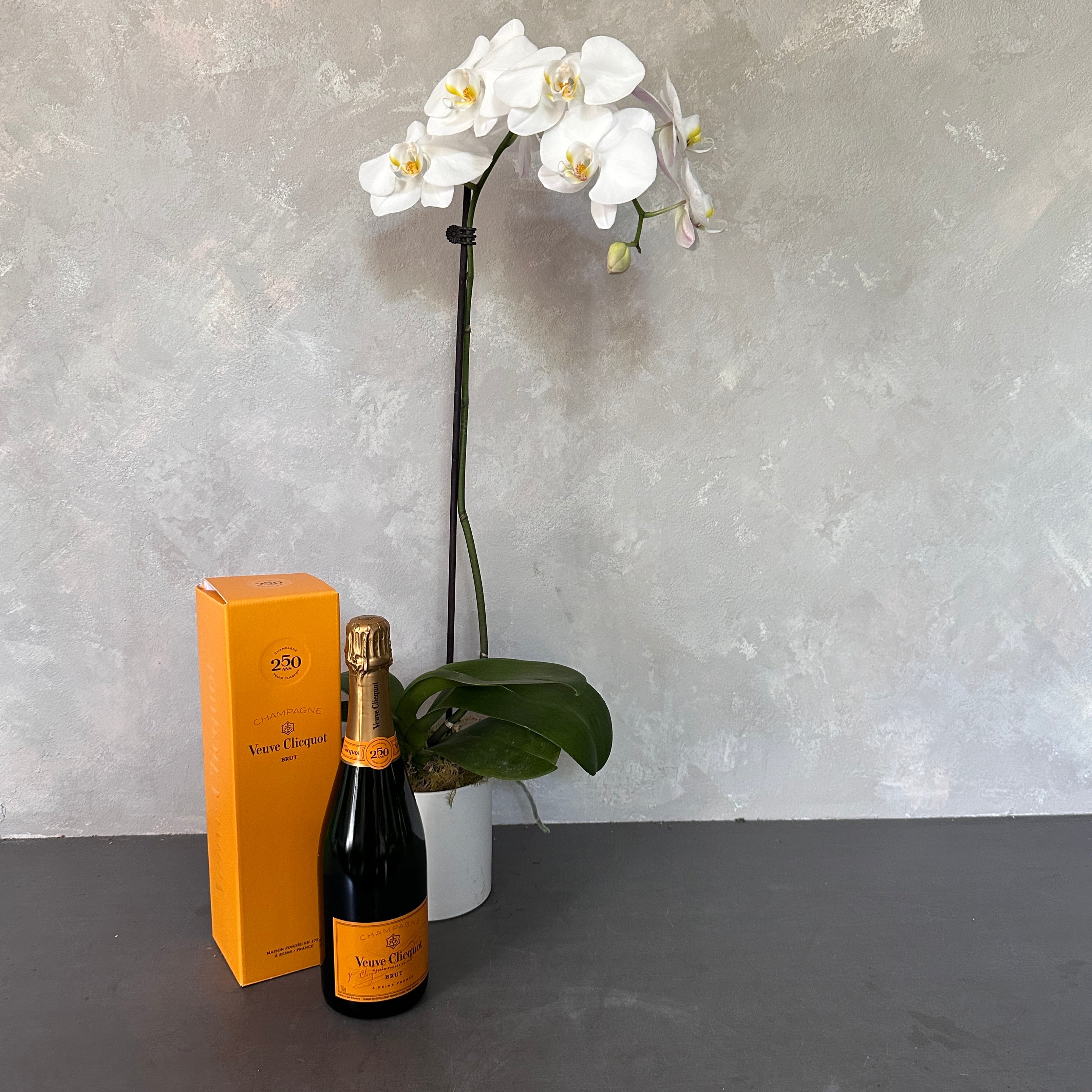 Sparkles and Orchids Flowers on Norton St